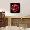 Bloem - Roos - Rood - Zwart plexiglas 5mm klein -sfeer4