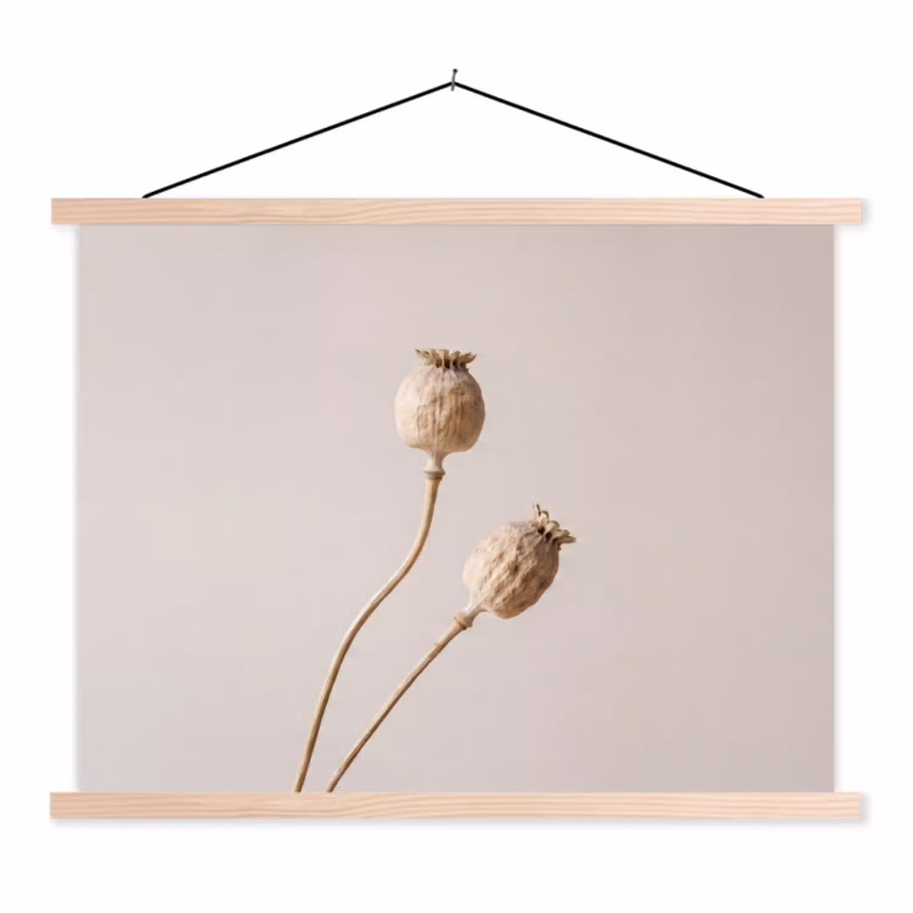 Papaverbollen - Droogbloemen - Minimalistisch - Beige - Rustig textielposter latten blank klein -3d