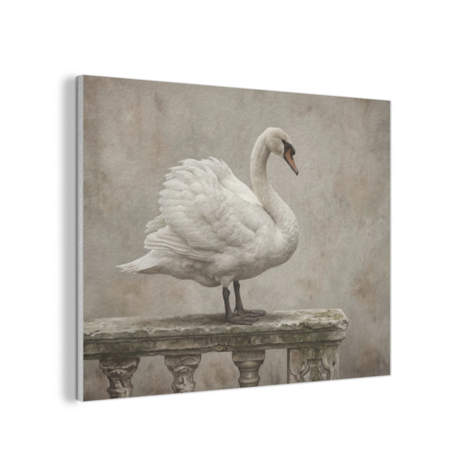 Zwaan - Elegant - Dieren - Wit PET vilt klein -3d