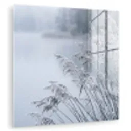 Riet - Bevroren - Winter - Natuur plexiglas 5mm klein -zzzproduct_nieuw