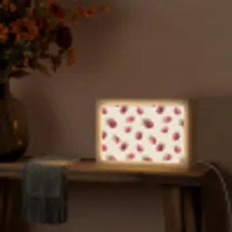 Framboos - Stippen - Rood Light Box met kabel (Tafellamp) klein 924 -sfeer4