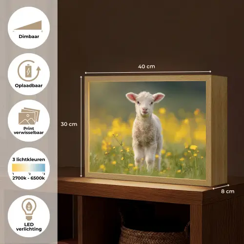 Lammetje - Gras - Bloemen - Geel Light Box met batterij (Wandlamp) middel -USP_websiteoverzichtNL