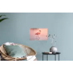 Flamingo - Water - Roze Muursticker klein -plant
