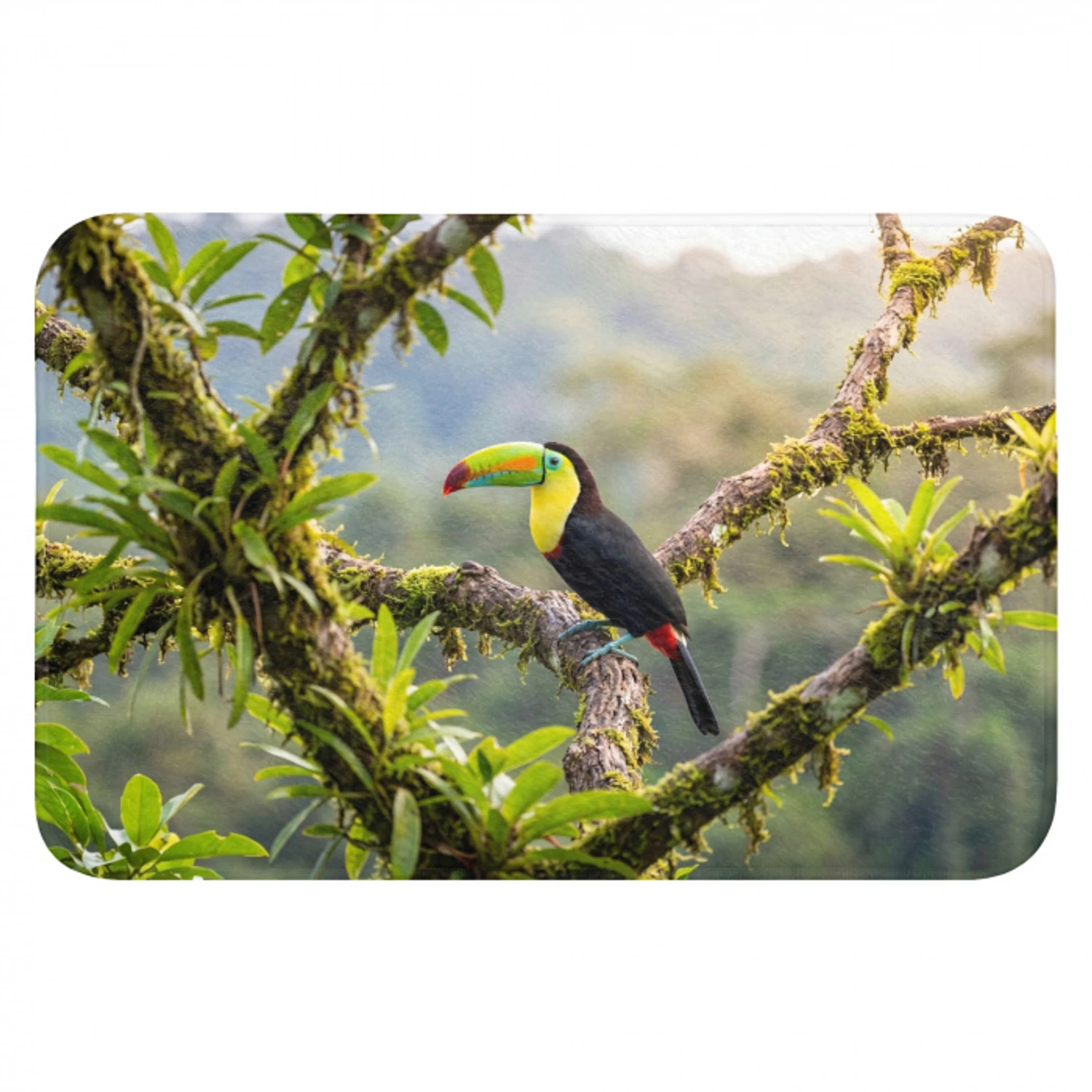 Toekan - Jungle - Natuur - Kleurrijk Badmat klein -3d
