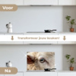 Schaap - Oog - Wit keuken achterwand spatscherm klein -voor_na_NL
