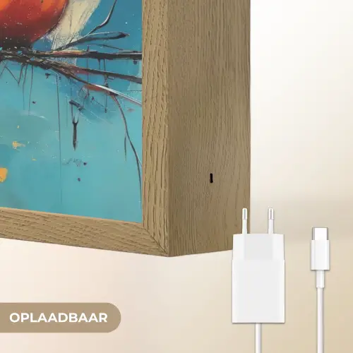 Vogels - Kleurrijk - Tak - Abstract Light Box met batterij (Wandlamp) middel -USP_websiteoplaadbaarNL