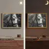 Paard - Schimmel - Portret Light Box met batterij (Wandlamp) middel -sfeer3