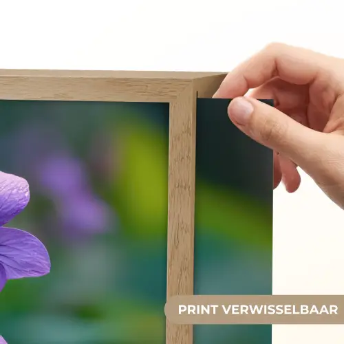 Viooltjes - Paars - Bloem - Bladeren Light Box met batterij (Wandlamp) middel -USP_websiteprintNL