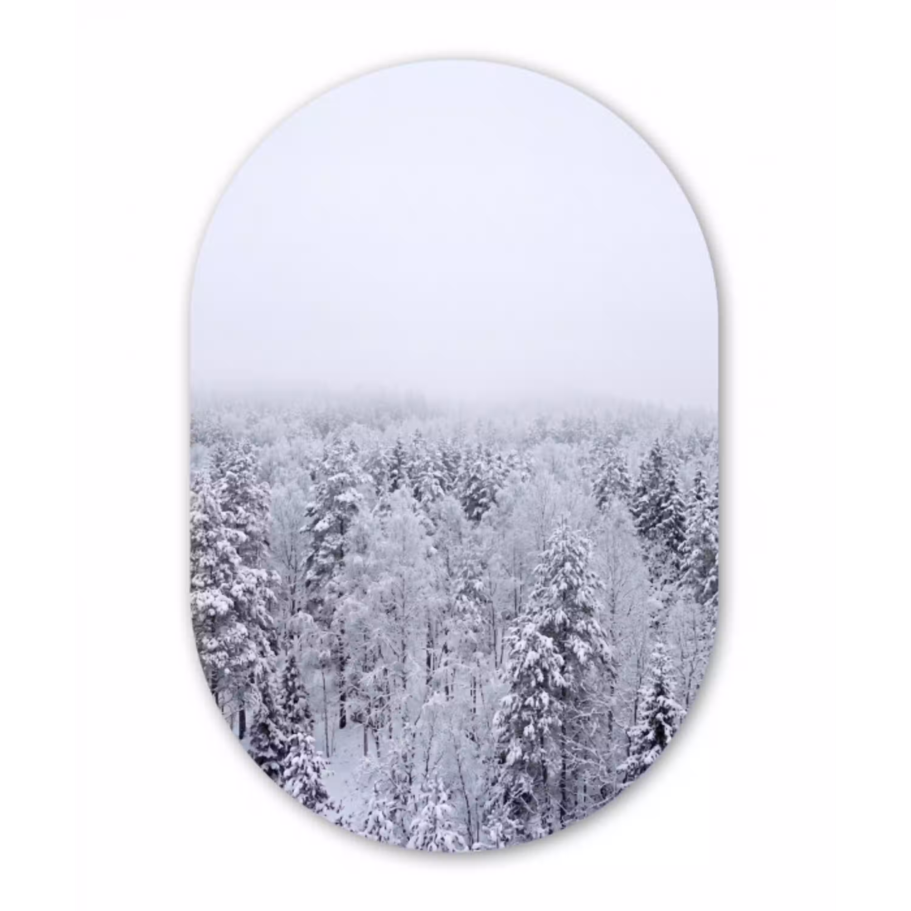 Bos - Sneeuw - Winter - Natuur - Wit Wandcirkel Ovaal Aluminium middel -3d