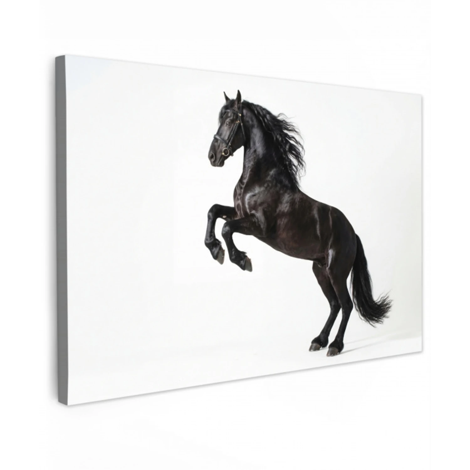 Zwart - Paard - Portret Tuinposter op houten frame 2 cm dik klein -3d