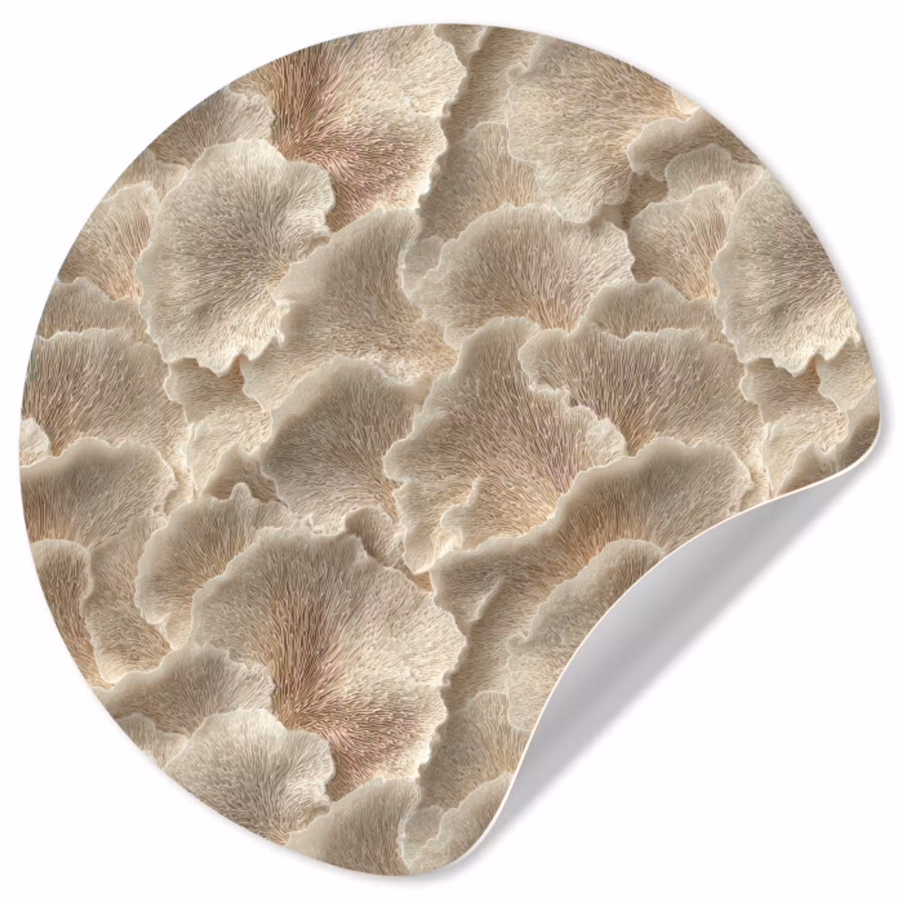Waaierstructuren - Beige - Vezeltextuur Wandcirkel behangsticker klein 186 -3d