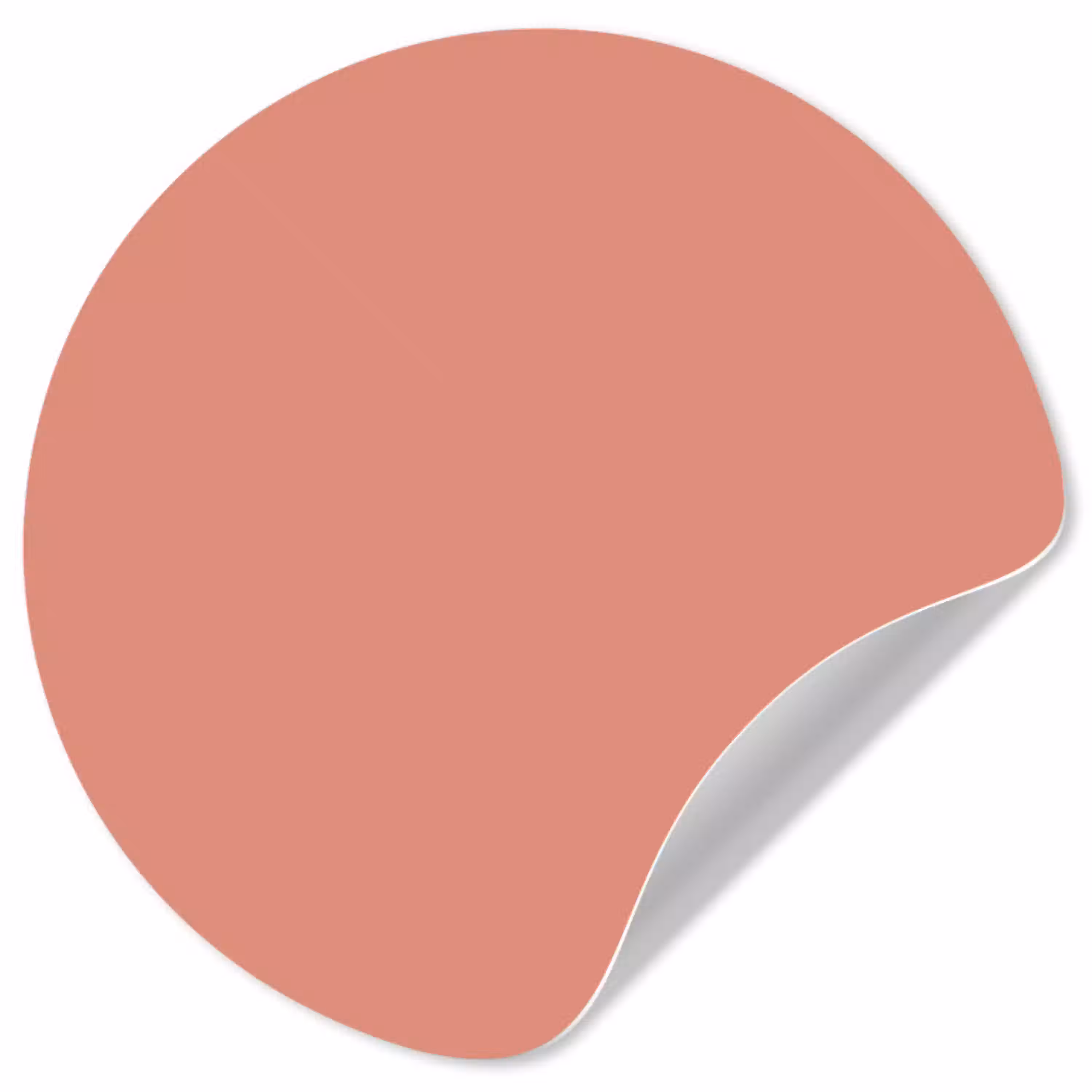 Earthy - Rose - Koraal Wandcirkel behangsticker klein 186 -3d