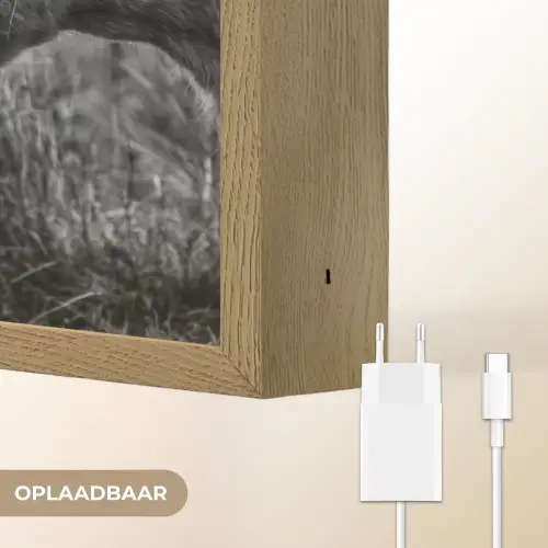 Schotse hooglander - Kalf - Zwart - Wit Light Box met batterij (Wandlamp) middel -USP_websiteoplaadbaarNL