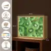 Kiwi - Groen - Pitten Light Box met batterij (Wandlamp) middel -USP_websiteoverzichtNL