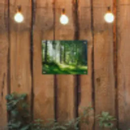 Zonnestralen in een groen bos tuinposter los doek klein -sfeer1