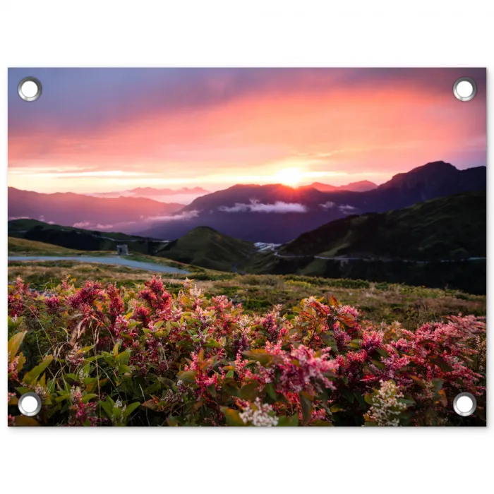 Bloemen - Bergen - Landschap - Nacht - Lucht - Roze tuinposter los doek klein -3d