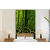 Jungle - Brug - Mos - Natuur - Tropisch fotobehang vinyl groot -bed