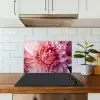 Dahlia - Bloem - Close up - Roze keuken achterwand spatscherm klein -sfeer2
