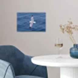 Zeemeeuw - Oceaan - Blauw poster papier klein -sfeer3