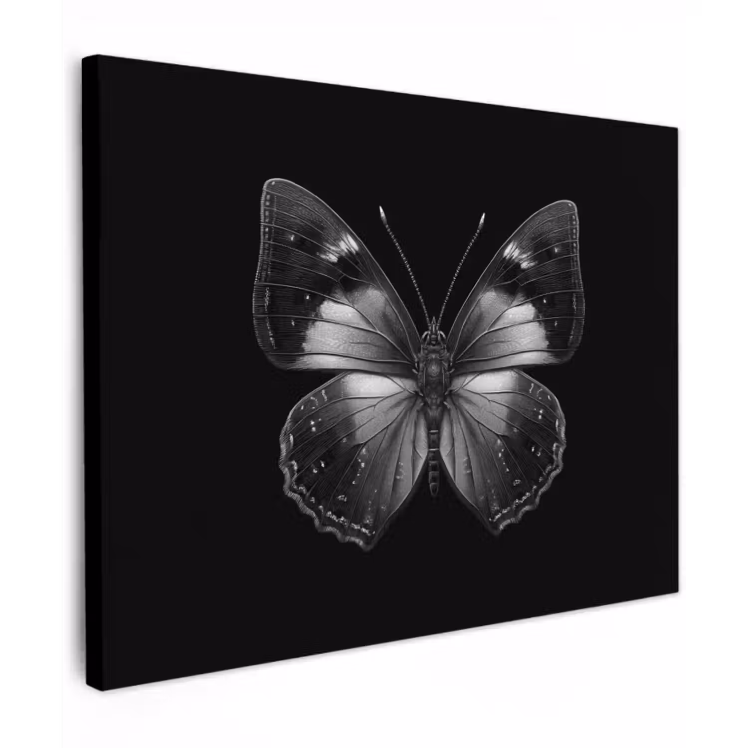 Canvas schilderij - Vlinder - Grijs - Mysterieus