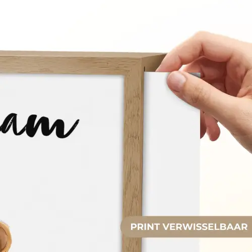 Leeuw - Baby dier - Dieren - Roze ballon Light Box met batterij (Wandlamp kind) middel -USP_websiteprintNL