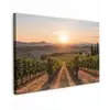 Wijngaard - Zonsondergang - Landschap canvas 2cm klein -z3d
