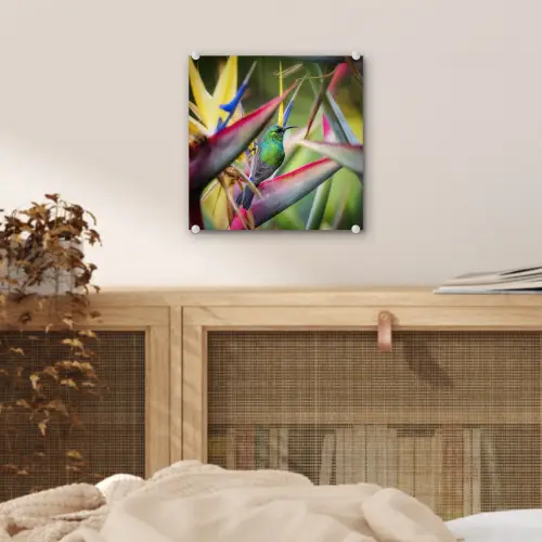 Kleurrijke vogel tussen allemaal kleurrijke platen plexiglas 5mm klein -sfeer4