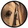 Paard - Oog - Bruin Fotolijst rond zonder passe partout klein -3d