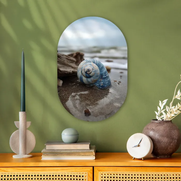 Schelp - Strand - Blauw - Zee Wandcirkel Ovaal Forex klein -sfeer2