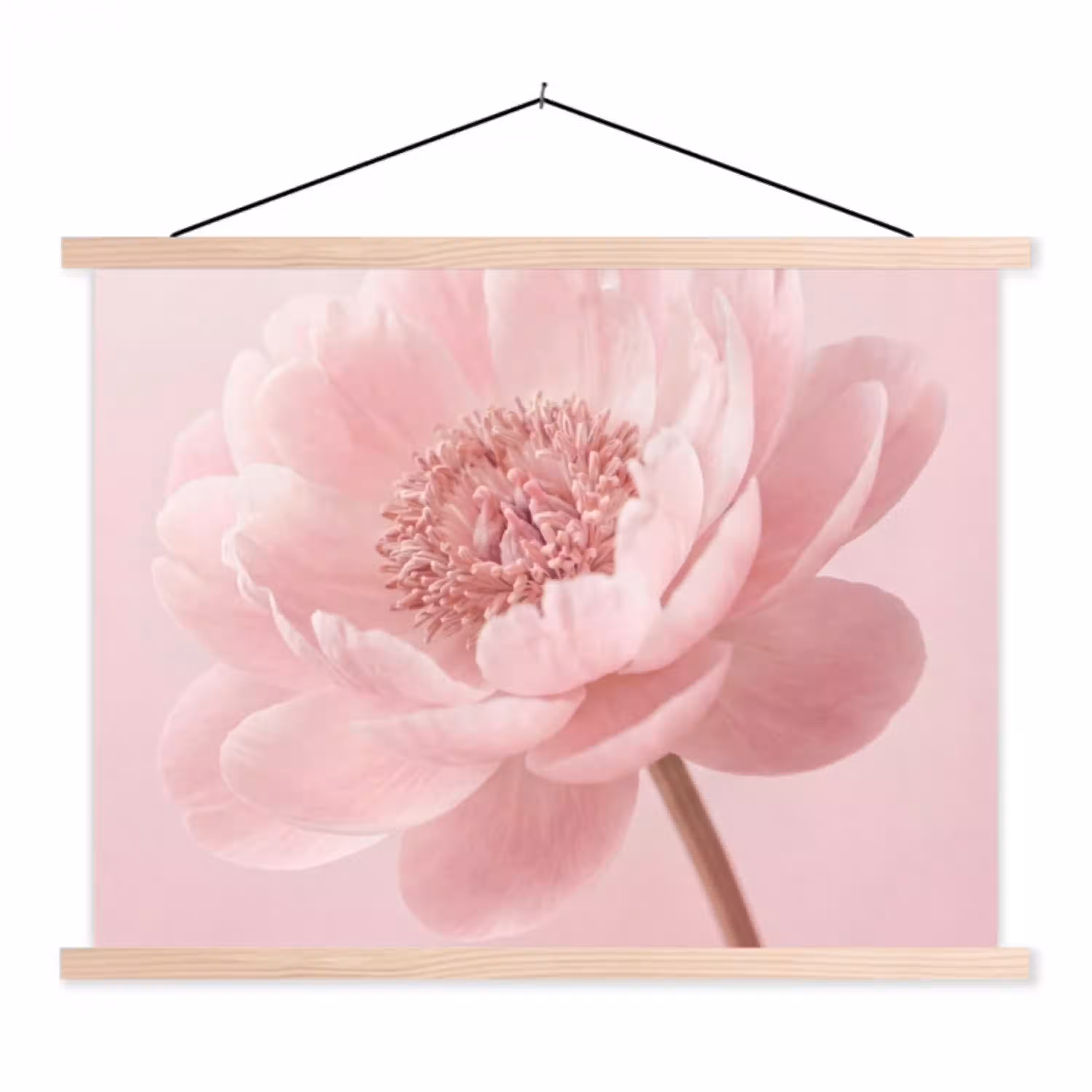 Bloem - Pioenroos - Roze textielposter latten blank klein -3d