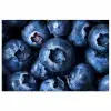Bessen - Blauw - Fruit poster papier klein -3d