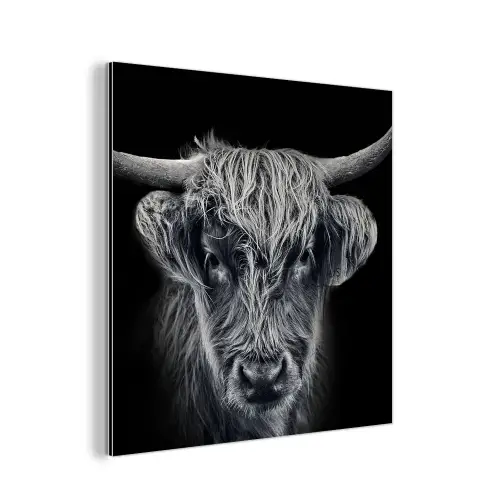 Schotse hooglander - Zwart - Koe - Dieren aluminium wit klein -3d