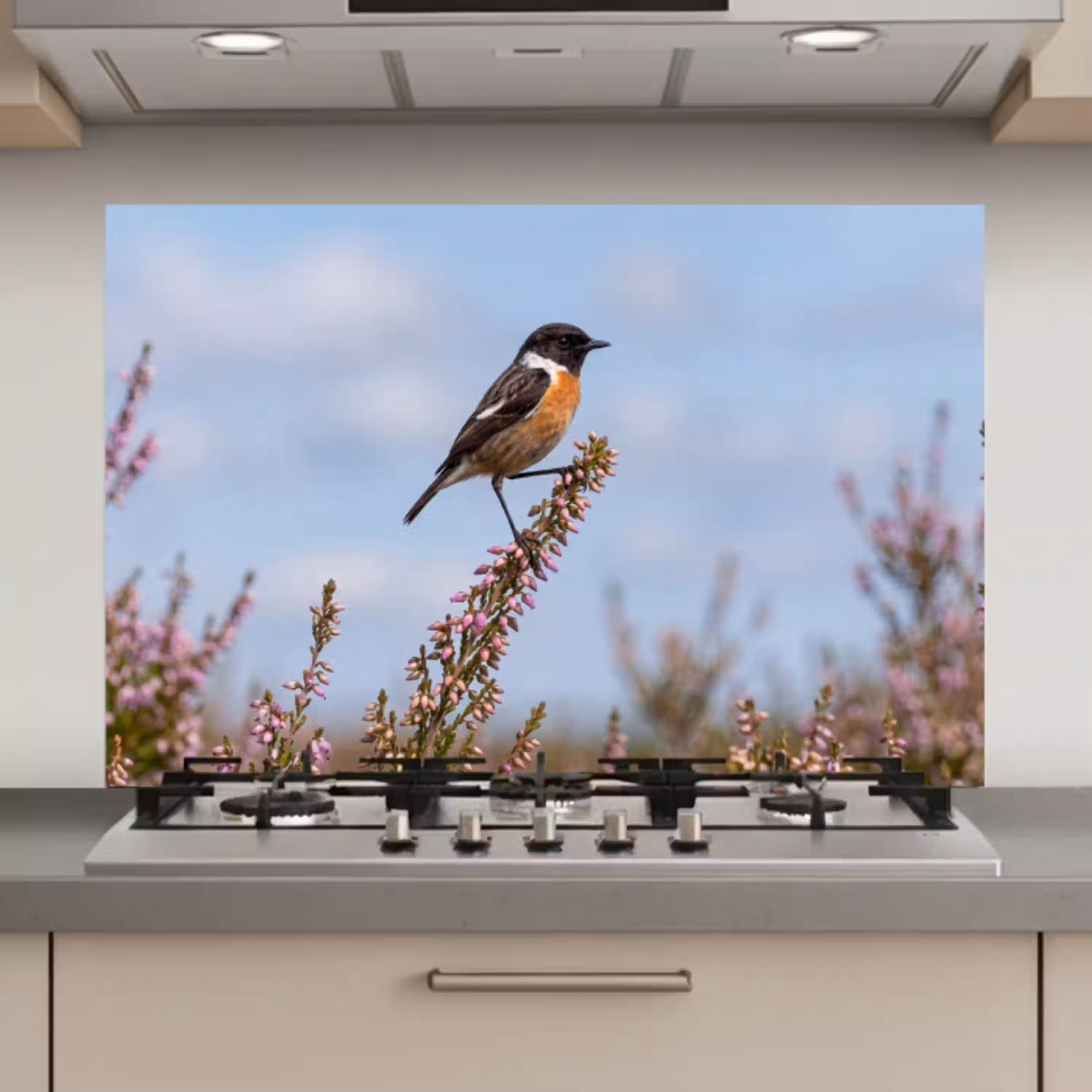 Roodborsttapuit - Heide - Paars - Natuur - Sfeervol keuken achterwand spatscherm klein -3d_website