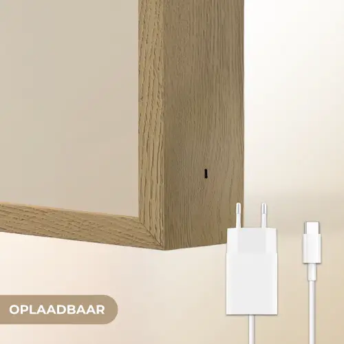 Cactus - Subtiel - Groen Light Box met batterij (Wandlamp) middel -USP_websiteoplaadbaarNL