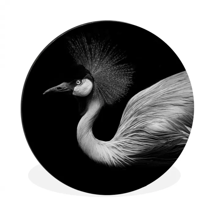 Kraanvogel - Zwart - Wit - Vogel - Dieren Wandcirkel aluminium klein -3d