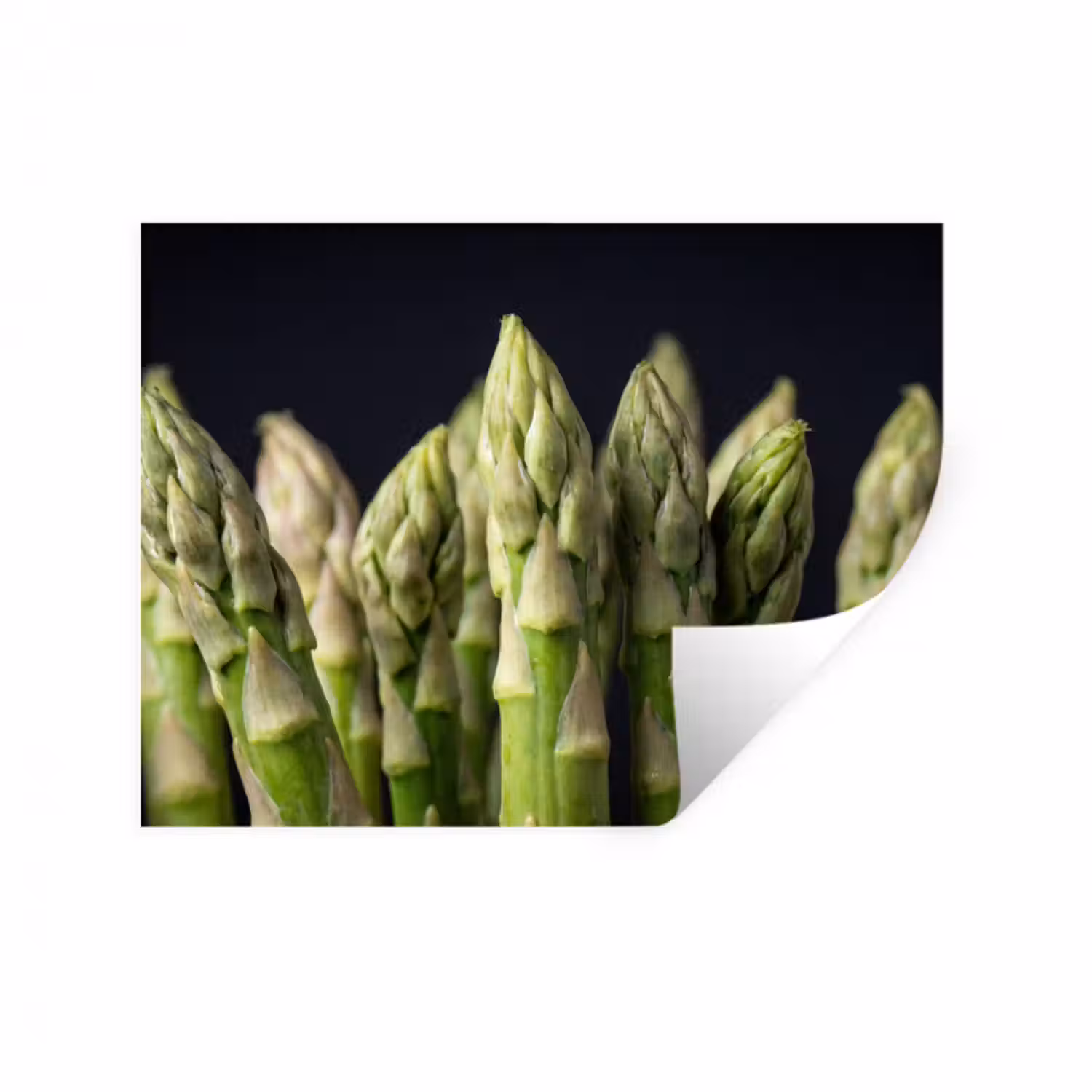 Wandtattoo – Spargel - Grün - Schwarz