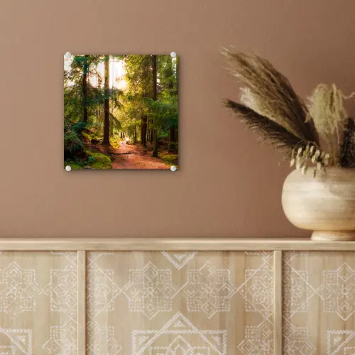Bos - Pad - Bomen - Groen - Zon - Natuur plexiglas 5mm klein -sfeer5