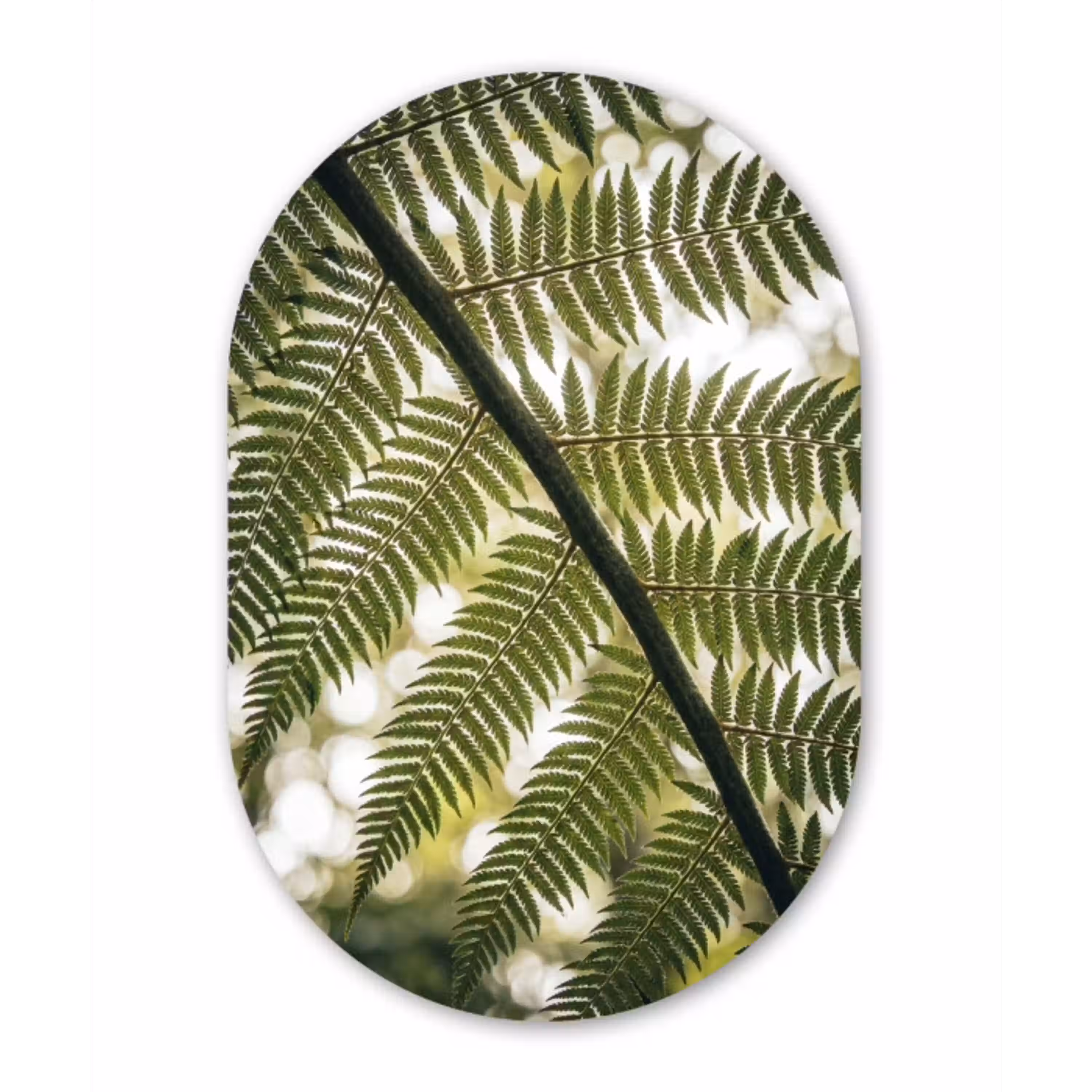Plant - Blad - Natuur - Groen - Detail Wandcirkel Ovaal Aluminium middel -3d