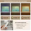 Bootje - Water - Bladeren - Bloesems Light Box met kabel (Tafellamp) klein -USP_lichtkleurNL