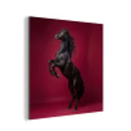 Hengst - Steigert - Rood aluminium wit klein -3d