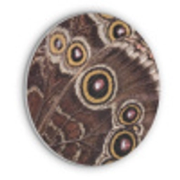 Vlinder - Vleugel - Abstract Akoestische PET Vilt - Rond klein -3d