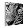 Luipaard - Zwart - Wit - Oog plexiglas 5mm klein -z3d