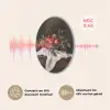 Granaatappels - Klassiek - Vintage Akoestische PET Vilt - Rond klein -USP_NL