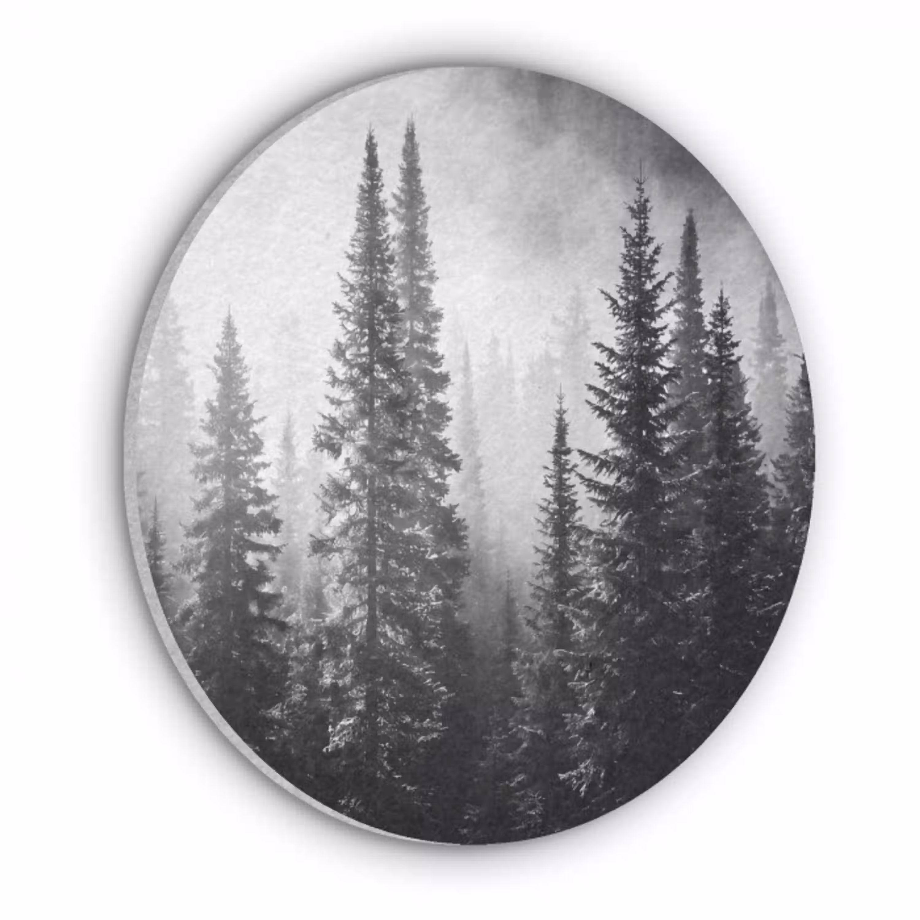 Bos - Mist - Winter - Monochroom - Natuur Akoestische PET Vilt - Rond klein -3d