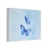 Vlinders - Sierlijk - Blauw PET vilt klein -3d