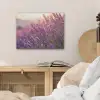 Lavendel - Paars - Zonlicht PET vilt klein -sfeer3