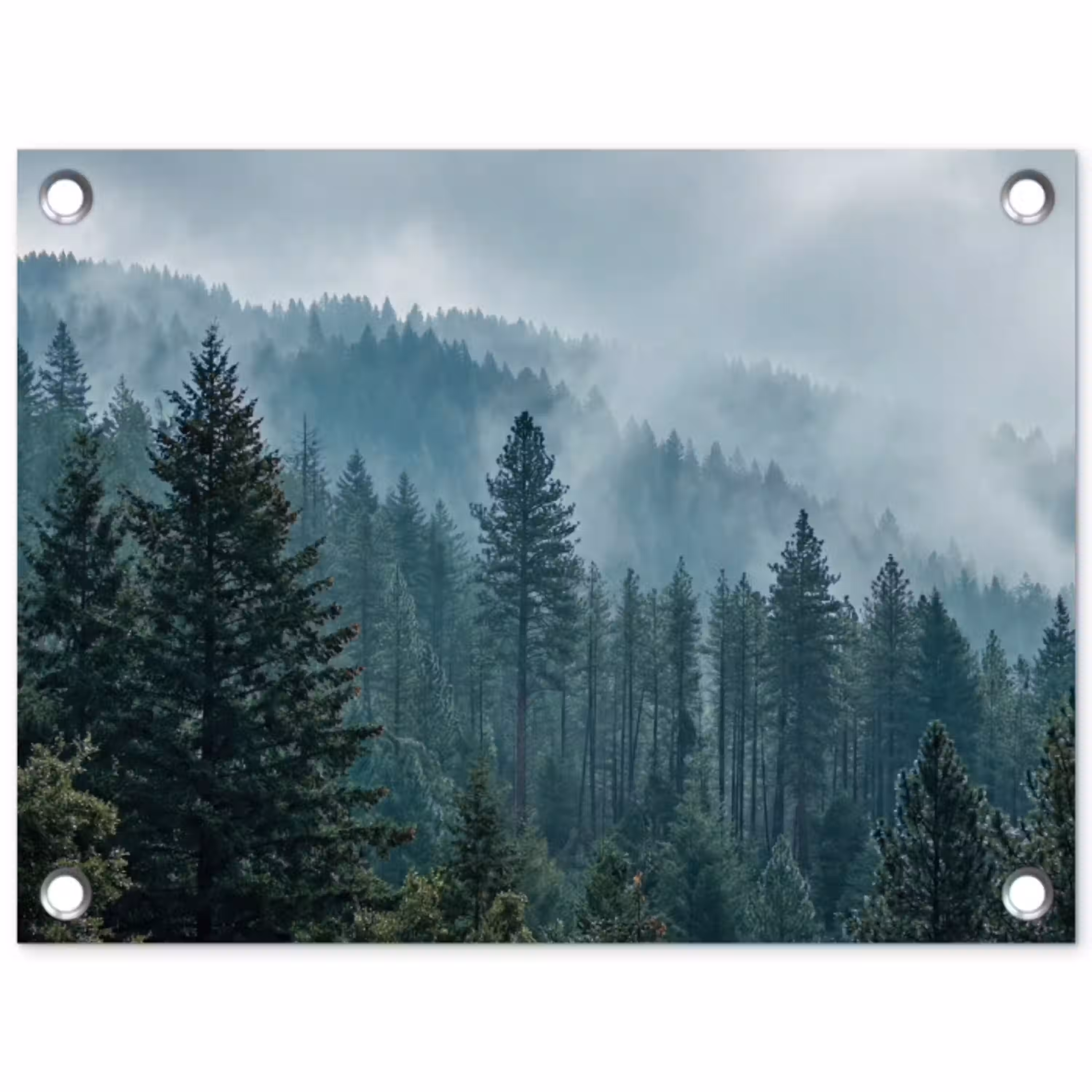 Naaldwoud - Bergen - Mist tuinposter los doek klein -3d