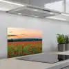 Klaprozen - Landschap - Rood - Bloemen keuken achterwand spatscherm klein -3d_schuin