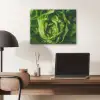 Groente - Sla - Groen PET vilt klein -sfeer5