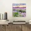 Lavendel - Bloemen - Zonsondergang - Paars - Weide plexiglas 5mm klein -sfeer1